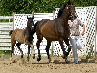 Bild 13